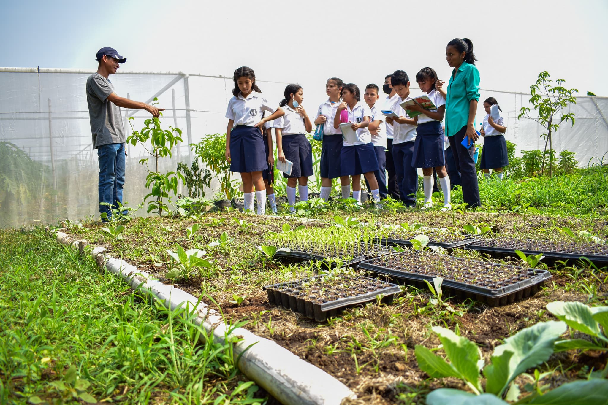 Schülerinnen und Schüler, die bei der Farmarbeit helfen